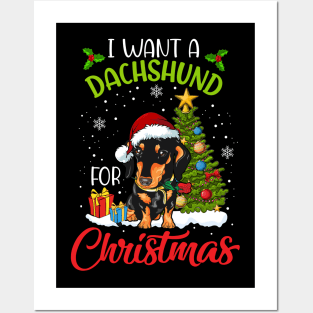 I Want A Dachshund For Christmas Cute Gift Xmas Costume Posters and Art